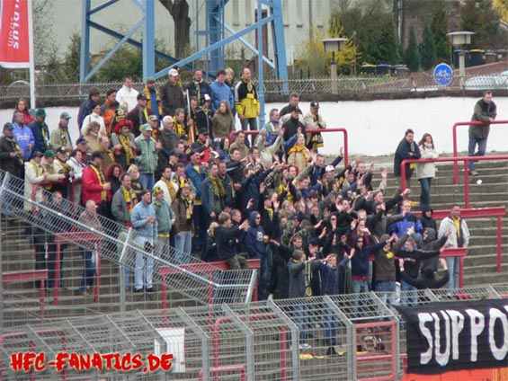 Hallescher FC vs VFC Plauen (1-1)