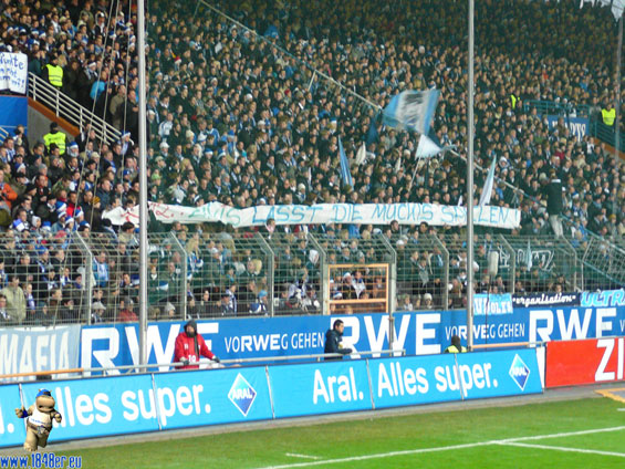 VfL Bochum vs 1. FC Köln (1-2)