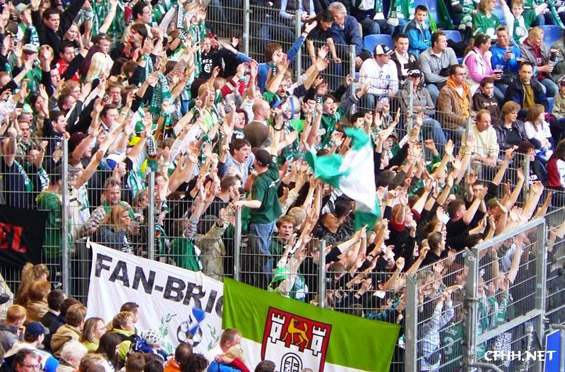 Hamburger SV vs VfL Wolfsburg (1-0)