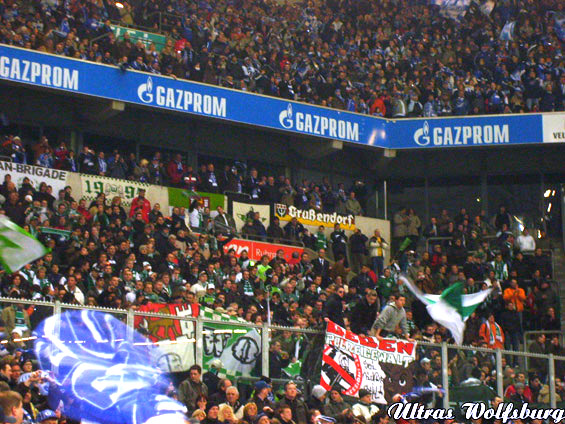 FC Schalke 04 vs VfL Wolfsburg (1-2)