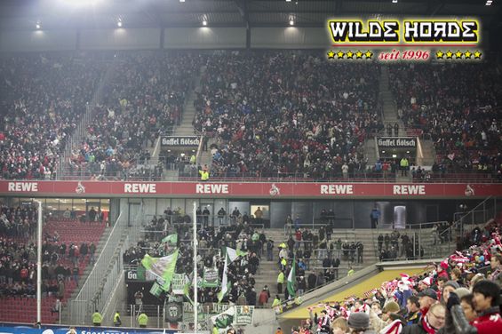 1. FC Köln vs VfL Wolfsburg (1-1)