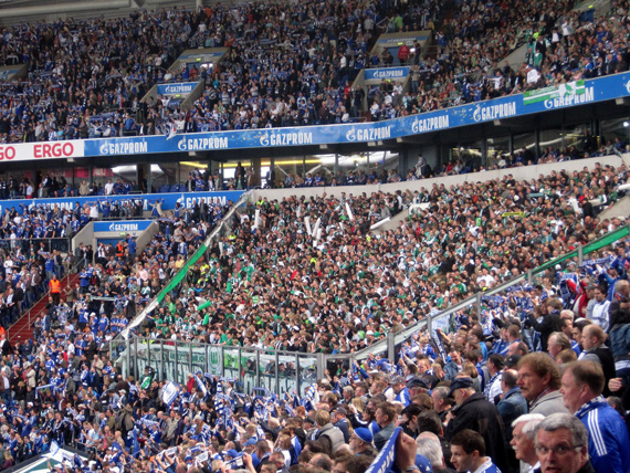 FC Schalke 04 vs VfL Wolfsburg (1-0)
