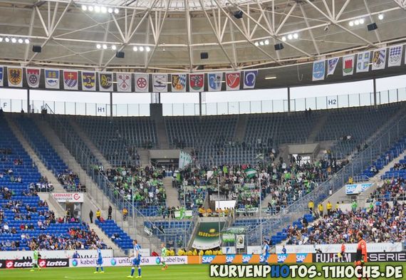 TSG Hoffenheim vs VfL Wolfsburg (1-1)