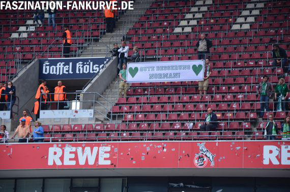 1. FC Köln vs VfL Wolfsburg (2-2)