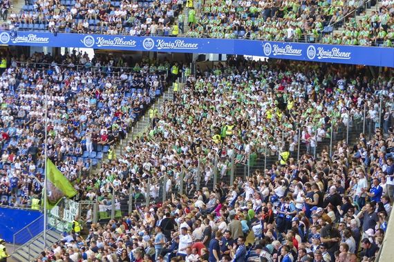 Hamburger SV vs VfL Wolfsburg (0-1)