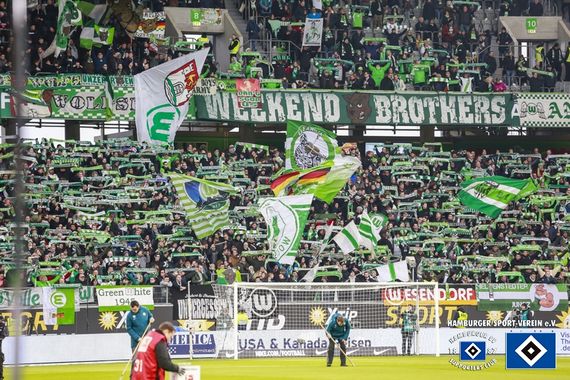 VfL Wolfsburg vs Hamburger SV (1-0)