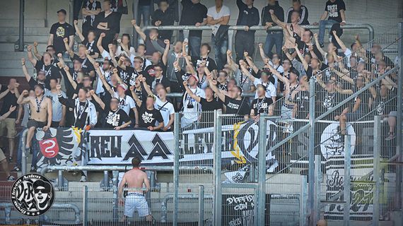 Hallescher FC vs VfR Aalen (3-1)