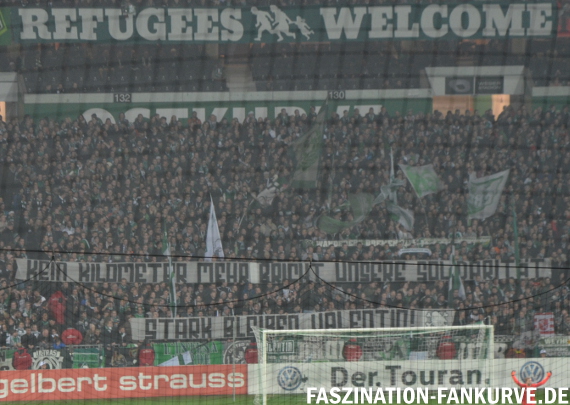 Werder Bremen vs 1. FC Köln (1-0)