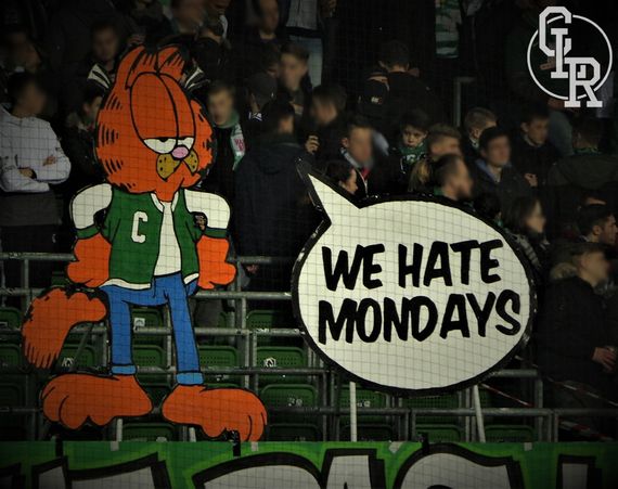 Werder Bremen vs 1. FC Köln (3-2)