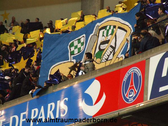 Paris SG vs AS St. Etienne (2-1) (3)