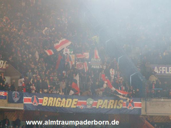 Paris SG vs AS St. Etienne (2-1) (12)
