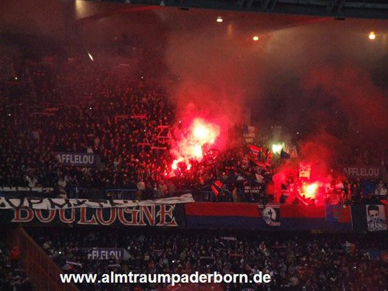 Paris SG vs AS St. Etienne (2-1) (13)