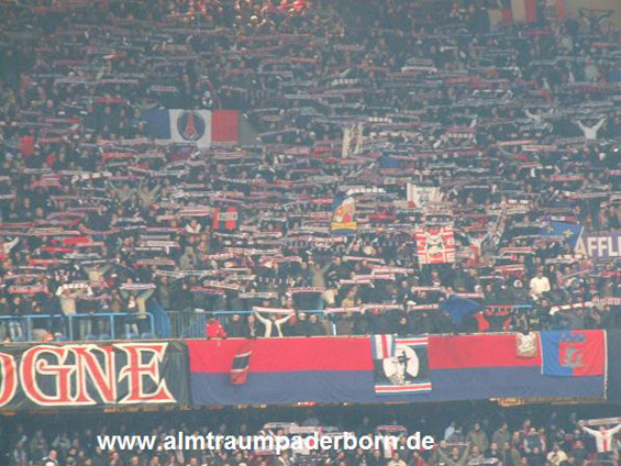 Paris SG vs AS St. Etienne (2-1) (14)