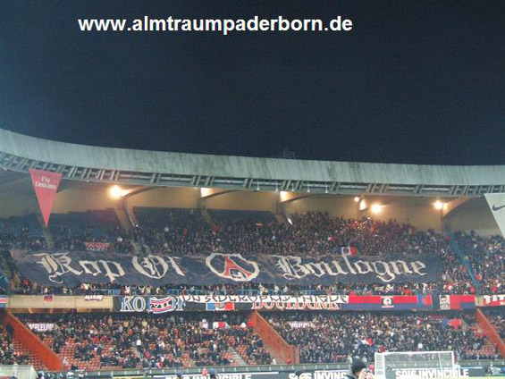 Paris SG vs AS St. Etienne (2-1) (15)