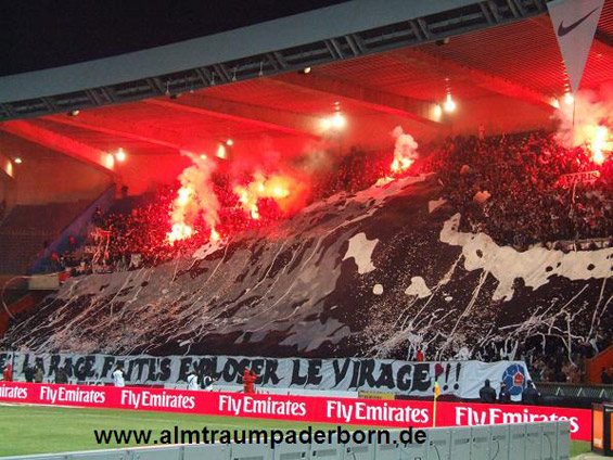 Paris SG vs AS St. Etienne (2-1) (16)