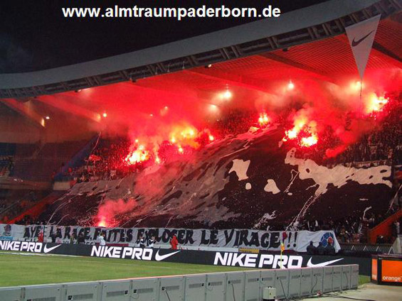 Paris SG vs AS St. Etienne (2-1) (17)