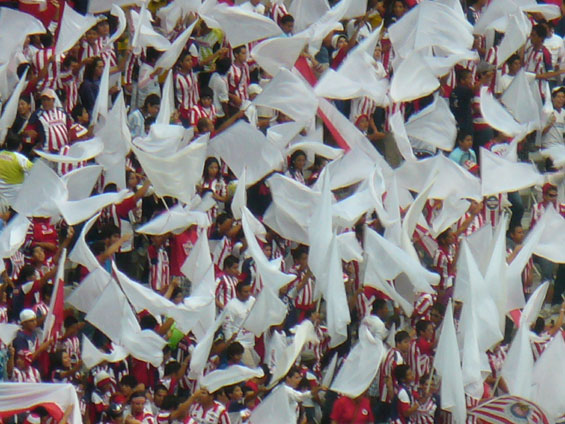 Deportivo Guadalajara vs CF Pachuca (2-2) (6)