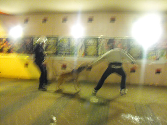 FC Twente Enschede vs Fenerbahce Istanbul (0-1) (13)