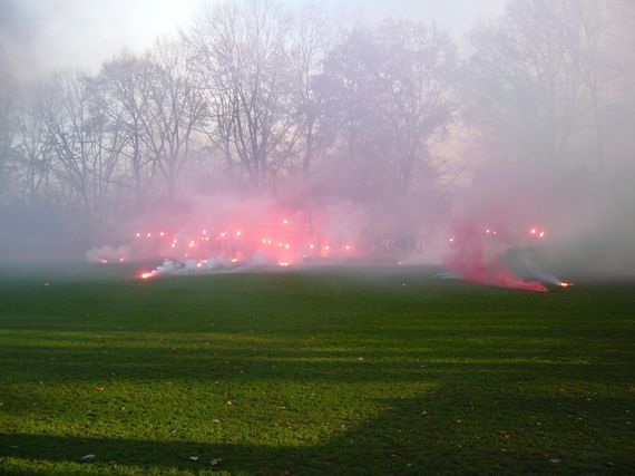 Vitesse Arnheim vs NEC Nijmegen (1-0) (6)