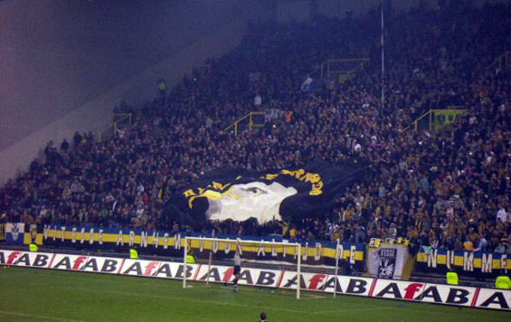 Vitesse Arnheim vs NEC Nijmegen (1-1) (5)