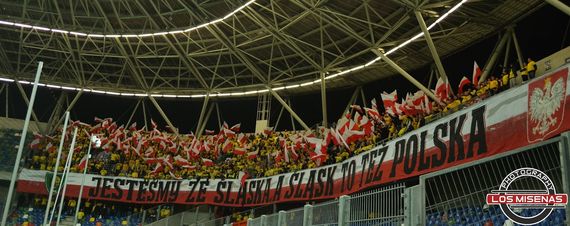 Podb. Bielsko-Biala vs GKS Katowice (0-2) (16)