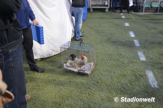 Gornik Zabrze vs Ruch Chorzow (2-0) (16)