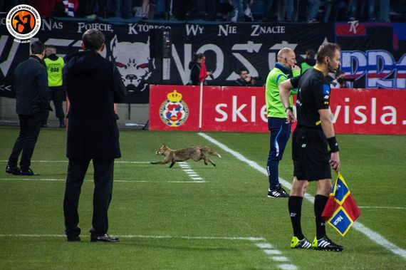 Wisla Krakow vs Cracovia Krakow (2-1) (2)