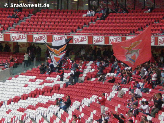 Benfica Lissabon vs CD Trofense (2-2) (2)