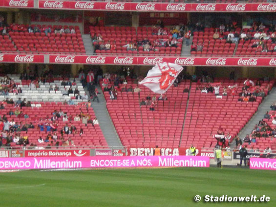 Benfica Lissabon vs CD Trofense (2-2) (6)