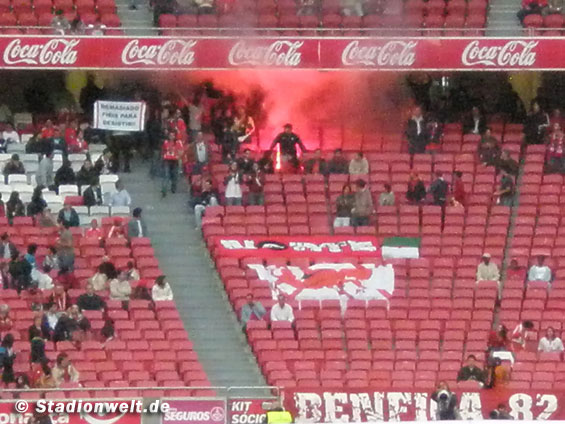 Benfica Lissabon vs CD Trofense (2-2) (8)
