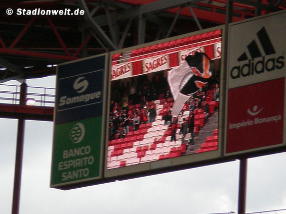 Benfica Lissabon vs CD Trofense (2-2) (11)