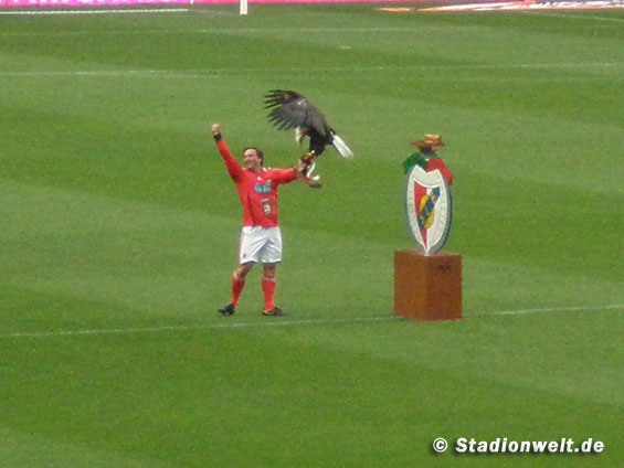 Benfica Lissabon vs CD Trofense (2-2) (14)