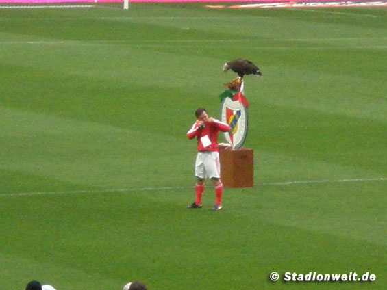 Benfica Lissabon vs CD Trofense (2-2) (15)