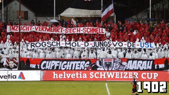 FC Aarau vs FC Luzern (3-5) (13)