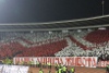 Roter Stern Belgrad vs Vojvodina Novi Sad (2-2)