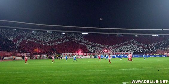 Roter Stern Belgrad vs Vojvodina Novi Sad (2-2) (4)
