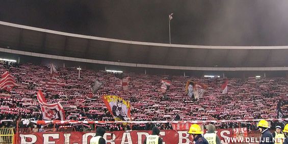 Roter Stern Belgrad vs Vojvodina Novi Sad (2-2) (6)