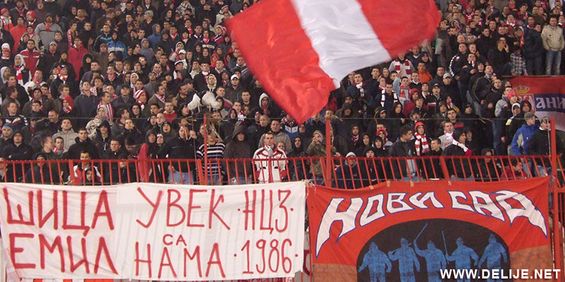 Roter Stern Belgrad vs Vojvodina Novi Sad (2-2) (7)