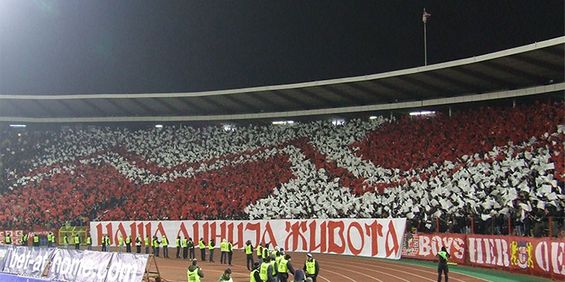 Roter Stern Belgrad vs Vojvodina Novi Sad (2-2) (9)