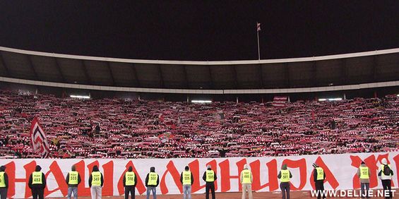 Roter Stern Belgrad vs Vojvodina Novi Sad (2-2) (11)
