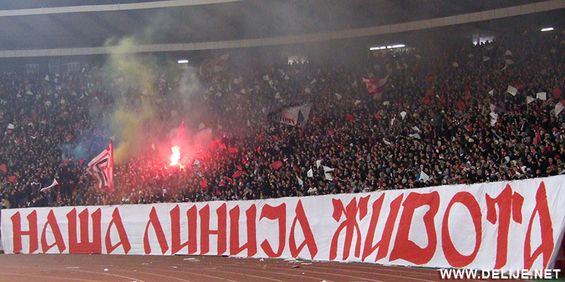Roter Stern Belgrad vs Vojvodina Novi Sad (2-2) (13)