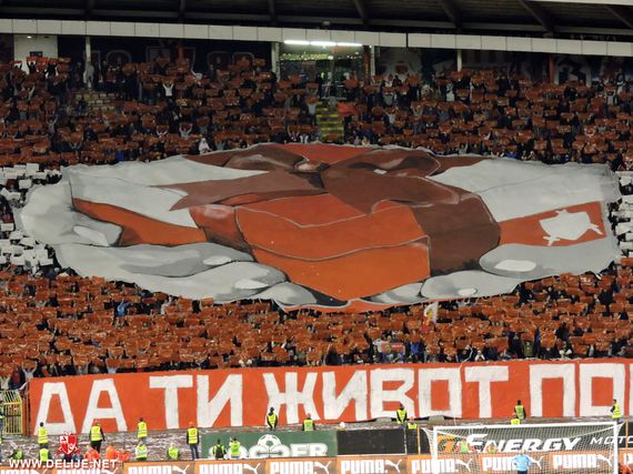 Roter Stern Belgrad vs Vozdovac Belgrad (2-2) (11)
