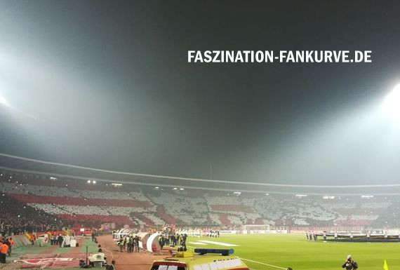 Roter Stern Belgrad vs 1. FC Köln (1-0) (1)