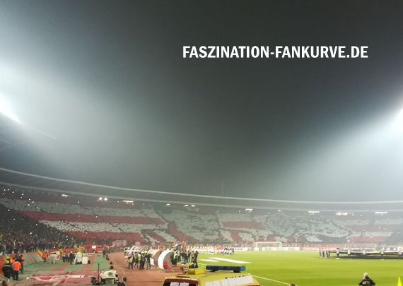 Roter Stern Belgrad vs 1. FC Köln (1-0) (2)