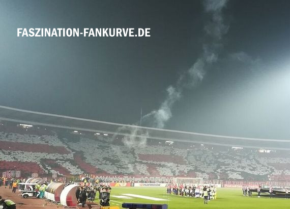 Roter Stern Belgrad vs 1. FC Köln (1-0) (4)