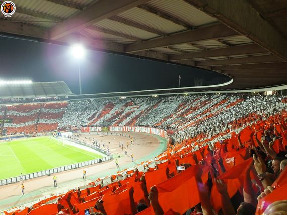 Roter Stern Belgrad vs SSC Neapel (0-0) (6)