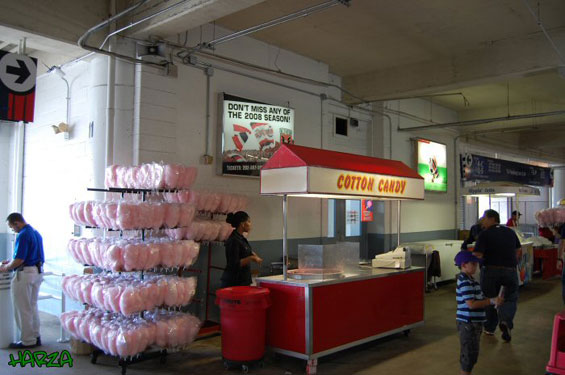 Washington DC United vs San Jose Earthquakes (1-2) (1)